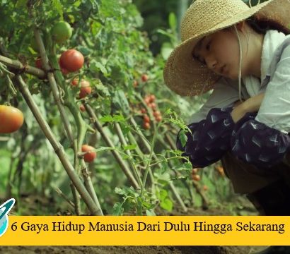 6 Gaya Hidup Manusia Dari Dulu Hingga Sekarang