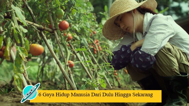 6 Gaya Hidup Manusia Dari Dulu Hingga Sekarang